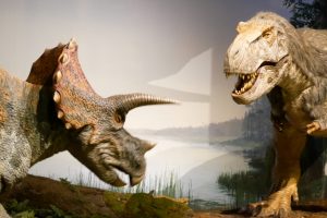 茨城県自然博物館 羽毛ティラノサウルス