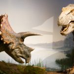 茨城県自然博物館 羽毛ティラノサウルス