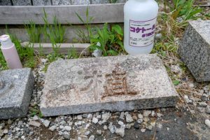 お墓掃除 苔 コケ